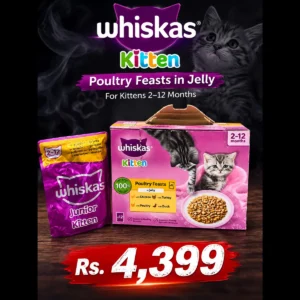 WHISKAS Kitten Poultry Feasts in Jelly 12x85g